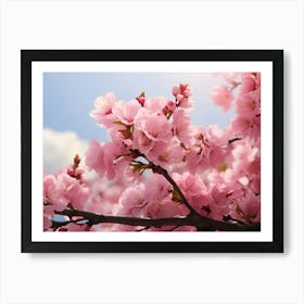 Cherry Blossoms In Spring Art Print