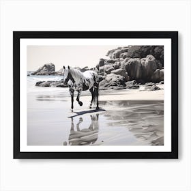 A Horse Oil Painting In Boulders Beach, South Africa, Landscape 1 Art Print