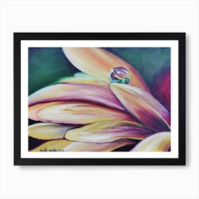 Water Drop On A Flower Art Print