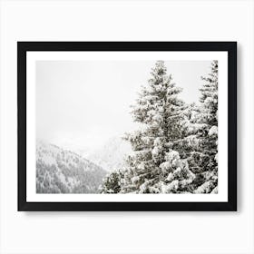 Snow Covered Fir Trees Art Print