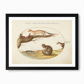 Quadervpedia Animals And Reptiles, Joris Hoefnagel (15) Art Print