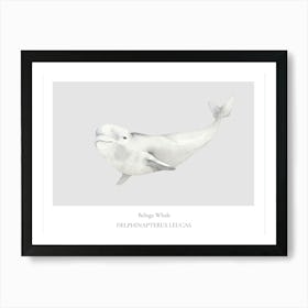 Whale Print Art Print