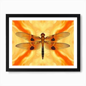 Dragonfly Halloween Pennat Celithemis 2 Art Print