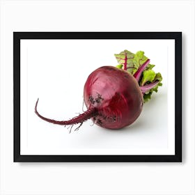 Beetroot isolated on white background. 3 Art Print