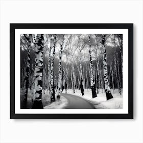 Birch Trees In Winter 1 Art Print