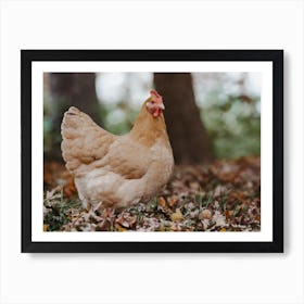 Fall Chicken Art Print