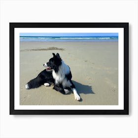 Border Collie On The Beach 1 Art Print