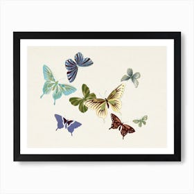Japanese Butterfly, Cho Senshu (8) Art Print