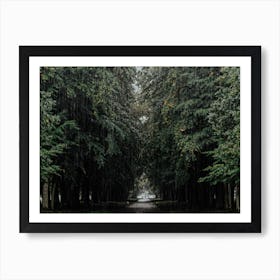 The Rain Falling The Trees Green Art Print