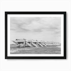 Battery Of Pea Shellers Near Mercedes, Texas By Russell Lee Art Print