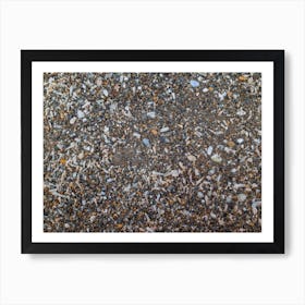 Tiny And Large Sea Shell And Rocks Texture Background 7 Art Print