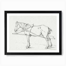 Standing Harnessed Horse, Jean Bernard Art Print