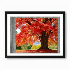 An Autumn Oak Tree Abundantly Lit Branches Spreading Widely Spanning A Slim Sleek Card Leaves Bla 2 1 Art Print