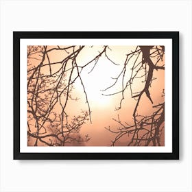 Atmospheric Red Sunrise on a Misty Winter Morning in Hyde Park, London Art Print