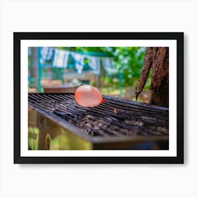 Balloon Filled With Water Placed On A Hot Grill Poster