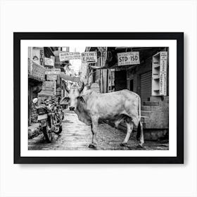 Cow In The Alley, India Art Print