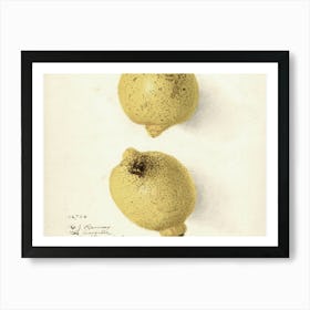 Two Lemons Art Print