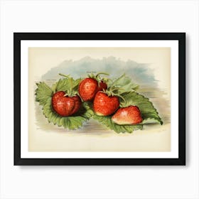 Vintage Illustration Of Strawberry, John Wright Art Print