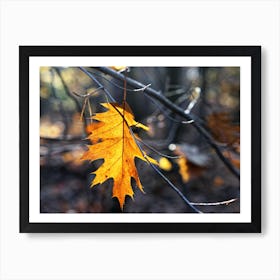Leaf in autumn colors Art Print