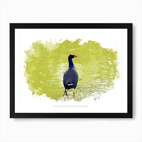 Hunter Wetlands Centre, Newcastle, New South Wales Art Print