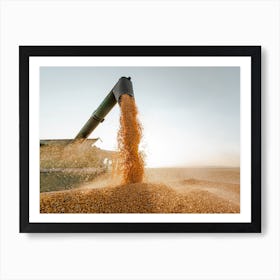 Corn Harvest Season Art Print