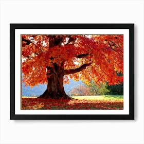 An Autumn Oak Tree Abundantly Lit Branches Spreading Widely Spanning A Slim Sleek Card Leaves Bla (1) Art Print