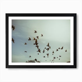 Silhouettes Of Flying Pigeons In The Skies 3 Art Print