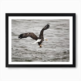 Bald Eagle on the Mississippi River Art Print