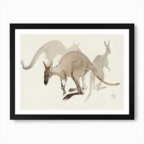 Kangaroos (1873–1917),Theo Van Hoytema Art Print