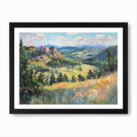 Western Landscapes Black Hills South Dakota 4 Art Print