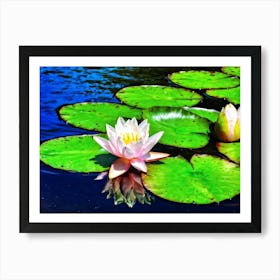 A Single White Lotus Flower Resting On A Tranquil Duck Pond Beneath A Radiant Summer Sun Petals Ge Art Print