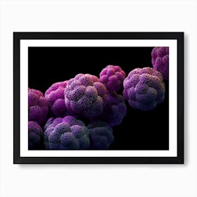 Pollen Grains Bignoniaceae Art Print