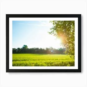 Field With Sun Art Print