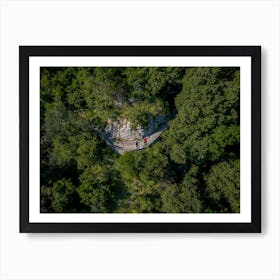 Aerial View Of A Forest Path Art Print