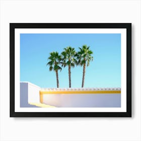 3 Palmtrees in the blue sky // Ibiza Nature & Travel Photography Art Print