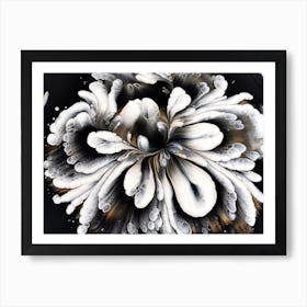 Black And White Flower Art Print