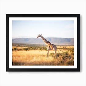 Golden Light Art Print