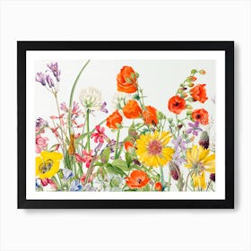 Wildflowers Poster