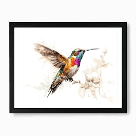 Kolibri Hummingbird - Water Color Painting 12 Art Print