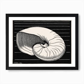 Shell, Julie De Graag Art Print