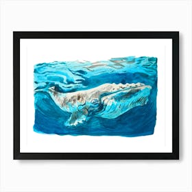 Humpback Whale Art Print