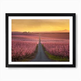 Flowering Art Print