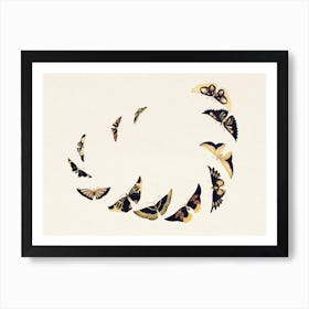 Vintage Butterfly, Cho Senshu (4) Art Print