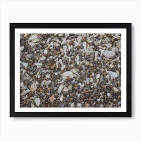 Tiny And Large Sea Shell And Rocks Texture Background 5 Art Print