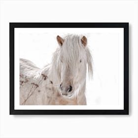 Neutral Winter Horse Art Print