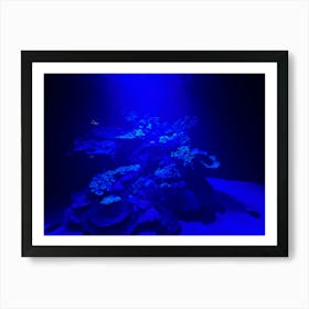 Blue Coral Reef Art Print
