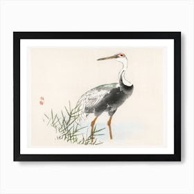 Crane Art Print