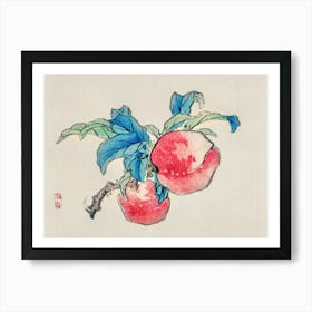 Peaches On A Branch Art Print