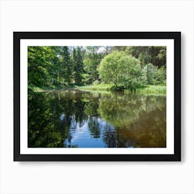 Summer reflection in the forest Art Print