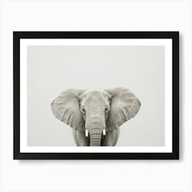 Elephant Canvas Print Art Print